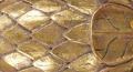 TMS Menagerie 6" Return Ribbed Design Bracket For 1 3/8" Wood Drapery Rods Color Option Gilded Gold